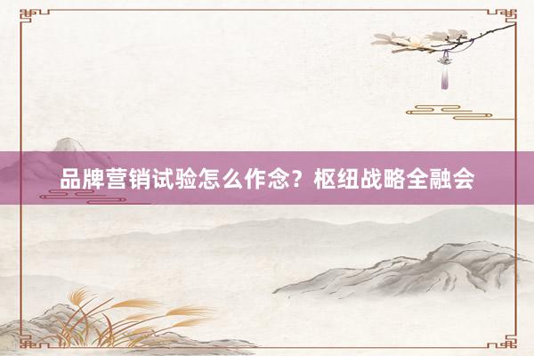 品牌营销试验怎么作念？枢纽战略全融会