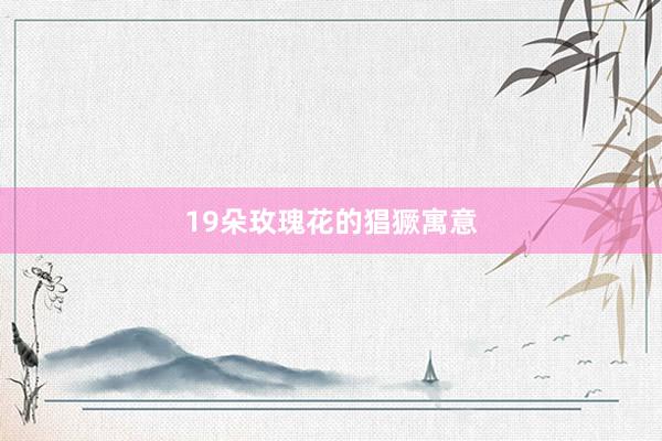 19朵玫瑰花的猖獗寓意