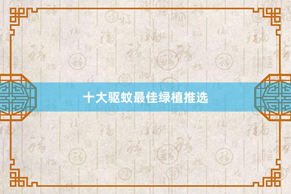 十大驱蚊最佳绿植推选