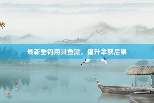 最新垂钓用具鱼漂，擢升拿获后果